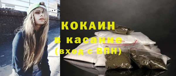 соль ск Арсеньев