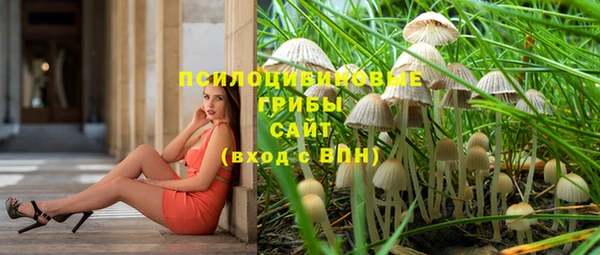 Альфа ПВП Алексин