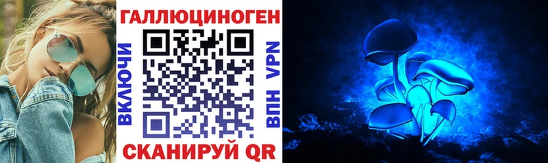 Галлюциногенные грибы Cubensis  даркнет сайт  Асино 