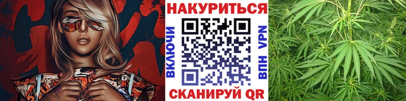 Конопля план Асино